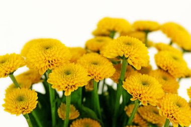 Canlı sarı çiçek buketi yakın plan.