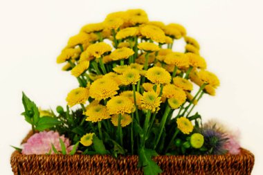 Canlı sarı çiçek buketi yakın plan.