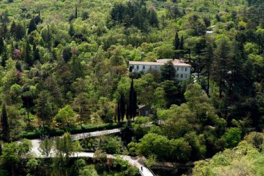 Ulusal Tiflis Botanik Bahçesi Georgia