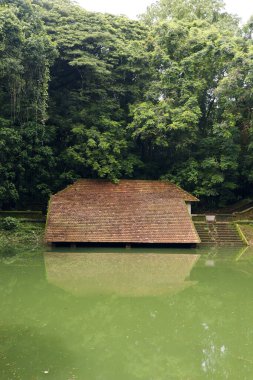Kerala Evleri için eski havuzlar ve yüzme havuzları