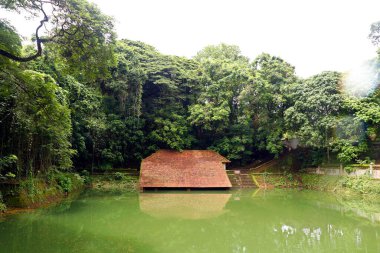 Kerala Evleri için eski havuzlar ve yüzme havuzları