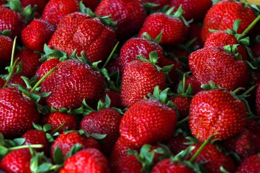 Bir grup olgun kırmızı çilek yakın planda.