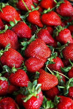 Bir grup olgun kırmızı çilek yakın planda.