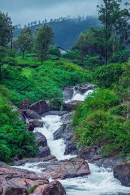 Dağın tepesinden güzel bir su akıntısı