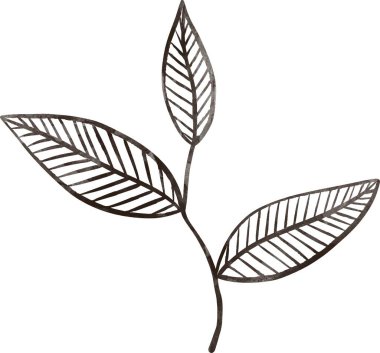 şablon, kart, planlayıcı ve davet tasarımı için suluboya ögesi kırpma sanatı