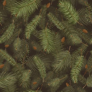 Çam ağacının yeşil dalı pürüzsüz desen, koni desenli orman ağaçları, el çizimi Noel ağacı, botanik arka plan