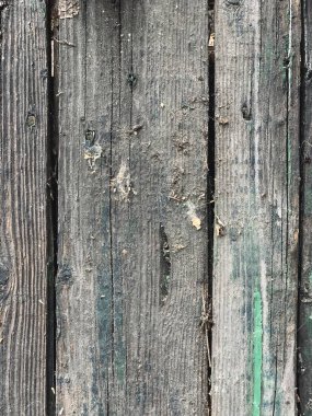 Eski grunge eski tahtalar, eski kabuk soyma boyası, köhne yıpranmış ağaç dalı, tahta dilimi, eski kabuk, tahta kabuk, kağıt arka plan.