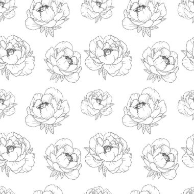 Şakayıkların zarif düğün deseni, kusursuz desen, tomurcuklar ve çiçekler, el çizimi, suluboya çiçekler, izole edilmiş