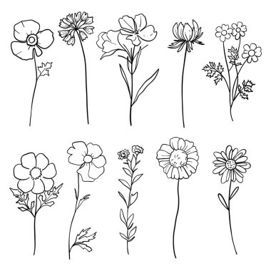 Zarif kır çiçekleri seti, minimalist çizgi sanat bitkisi, dal ve çiçekler, el çizimi, düğün çiçekleri, izole çiçek unsurları.