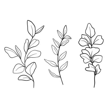 Zarif kır çiçekleri seti, minimalist çizgiler sanat bitkisi, dal, yapraklar, el çizimi, düğün çiçekleri, izole çiçek unsurları.