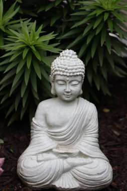 Buda heykeli bitkilerin yanında duruyor.