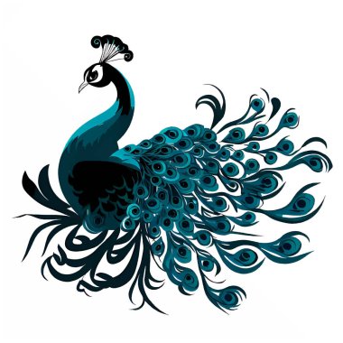 Beyaz bir tuvalde tavuskuşu logosu çizimi