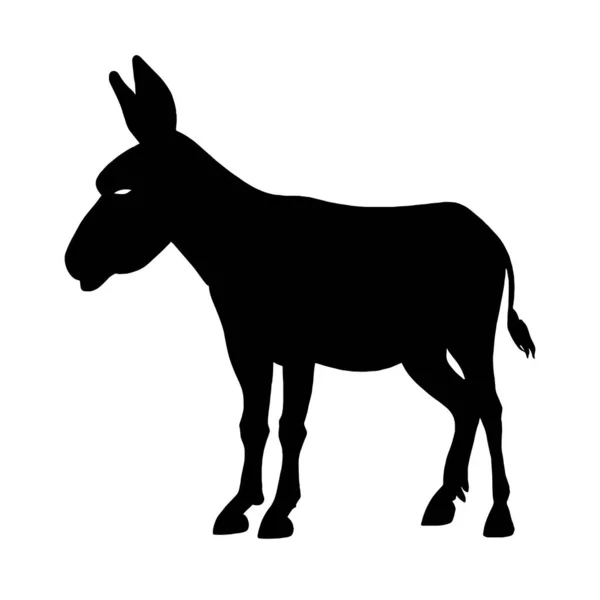 Иллюстрация Donkey Silhouette White Canvas — стоковый вектор