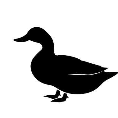 Beyaz arkaplanda siyah renkli ördek silueti simgesi