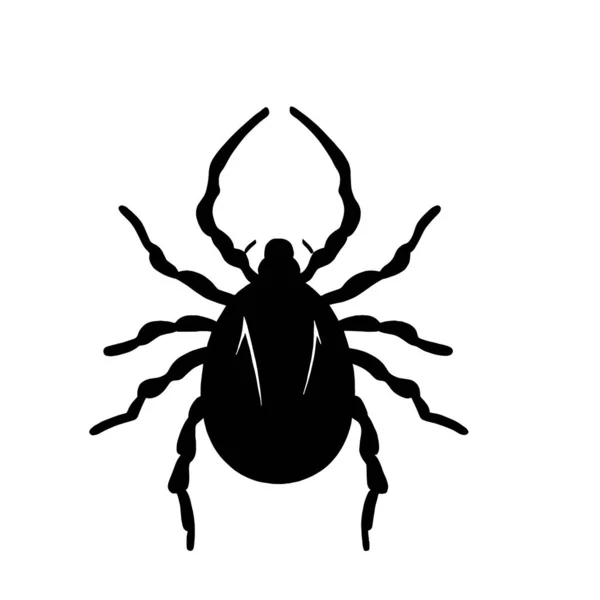 Siyah Renkli Böcek Simgesi — Stok Vektör