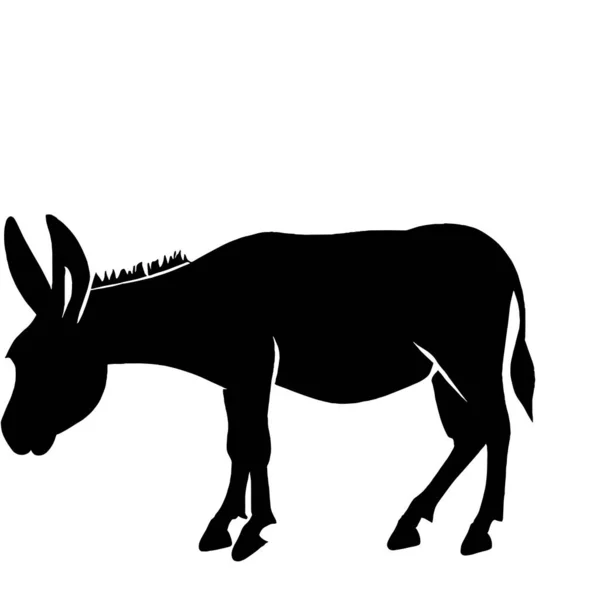 Illustrazione Logo Giaguaro Sfondo Bianco — Vettoriale Stock