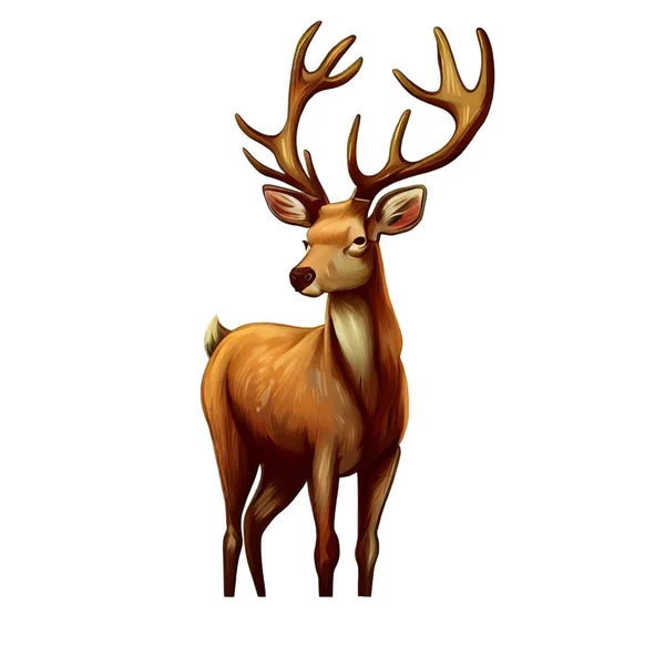 Deer Illustration White Canvas — Stock Vector