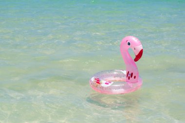 Pembe flamingo şamandırası suda yüzüyor.