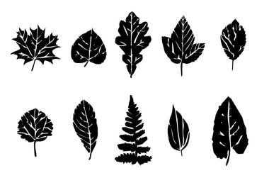 Farklı ağaçlardan vektör yaprakları kümesi