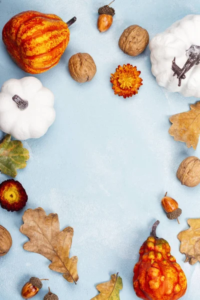 Podzimní Pozadí Suchými Listy Ořechy Kořením Halloween Nebo Den Díkůvzdání — Stock fotografie