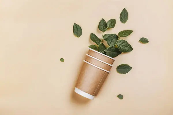 Paper coffee cups and plants leaves. Eco-friendly concept, Zero waste packaging background