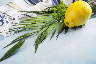Yahudi bayramı Sukkot. Geleneksel semboller, limon, mersin, söğüt dalı ve palmiye dalı. Şenlikli Sukkot arkaplanı