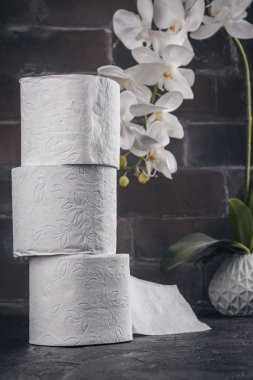 Bir tomar tuvalet kağıdı. Uluslararası tuvalet kağıdı günü, arka plan