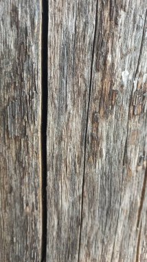 ahşap doku, arka plan