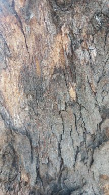 ahşap doku, arka plan