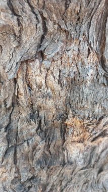 ahşap doku, arka plan