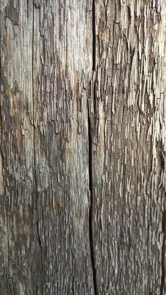 Stock image wood texture, abstract background