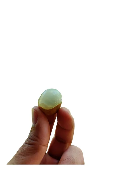 白い背景に単離された手の緑の豆 — ストック写真