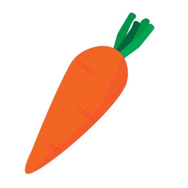 İzole havuç sebze tasarım