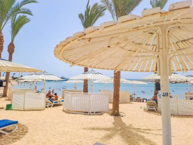 Hurghada - Egypt - 14 June 2023 : Beach on the shore of the Red Sea. Sun beds and umbrellas. Resort in the desert. Egypt. High quality photo clipart