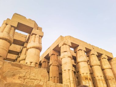 Colonnade . Luxor 'daki Karnak tapınağının antik kalıntıları. Mısır. Yüksek kalite fotoğraf