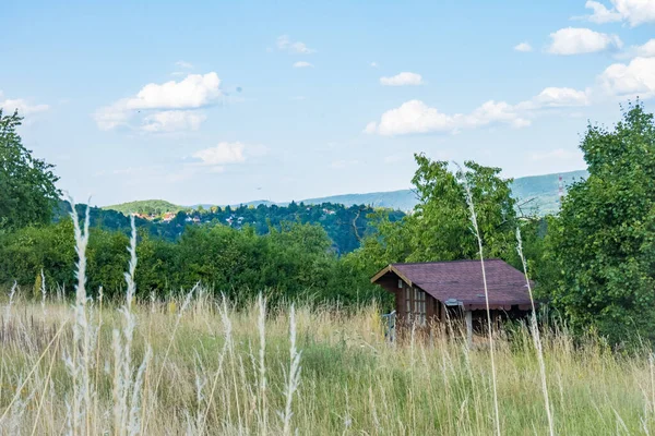 Tepelerdeki Eski Püskü Ahırlar Çek Zadni Treban Yakınlarındaki Tepelerde Eski Stok Fotoğraf