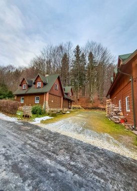 Karlı bir ormanda yakacak odunları olan orman evleri ve Polonya 'da Snezhynka Dağı' nda donmuş bir yol. Yüksek kalite fotoğraf