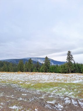 Kış Polonya manzarası: karla kaplı çayır ve arka planda buzlu dağ zirveleri, Polonya 'da Snezhynka Dağı' nda. Yüksek kalite fotoğraf