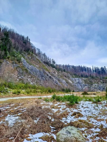 在波兰斯奈兹海卡山的森林里 冬季的白桦树和松树林在雪地里 高质量的照片 — 图库照片