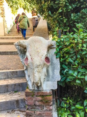 .Verona - İtalya - 30 Aralık 2019: koyun kafatası tasviri yapan eski heykel. Verona. İtalya. Yüksek kalite fotoğraf