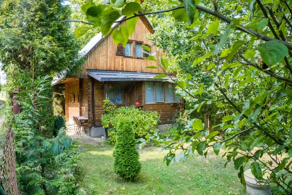 Krásný Dřevěný Starý Dům Zeleném Lese Zadním Třeboni Česky Kvalitní — Stock fotografie