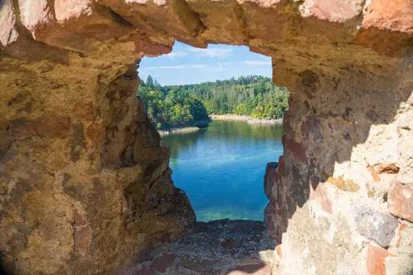 チェコ共和国のツヴィコフ城近くの美しいヴァルタ川と森の風景 高品質の写真 — ストック写真