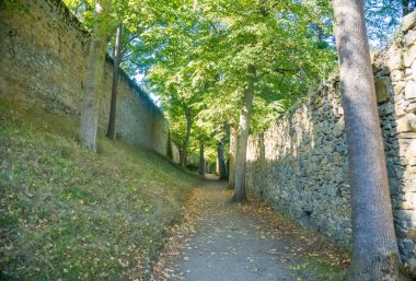 Zvikov Kalesi. Tarihsel Zvikov Kalesi 'nin görkemli manzarası, Çek mirasının asırlarca sergilendiği bir manzara. Yüksek kalite fotoğraf