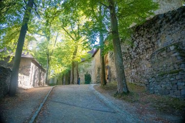 Zvikov Kalesi. Tarihsel Zvikov Kalesi 'nin görkemli manzarası, Çek mirasının asırlarca sergilendiği bir manzara. Yüksek kalite fotoğraf