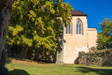 Zvikov Kalesi. Tarihsel Zvikov Kalesi 'nin görkemli manzarası, Çek mirasının asırlarca sergilendiği bir manzara. Yüksek kalite fotoğraf