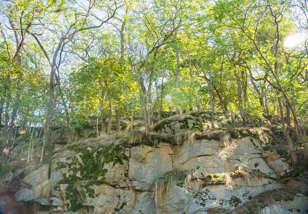 Hermosos Árboles Que Crecen Las Rocas Cerca Del Castillo Zvikov — Foto de Stock