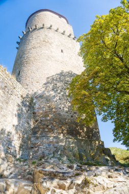 Zvikov Kalesi. Tarihsel Zvikov Kalesi 'nin görkemli manzarası, Çek mirasının asırlarca sergilendiği bir manzara. Yüksek kalite fotoğraf