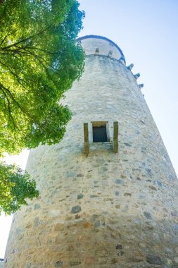 Zvikov Kalesi. Tarihsel Zvikov Kalesi 'nin görkemli manzarası, Çek mirasının asırlarca sergilendiği bir manzara. Yüksek kalite fotoğraf