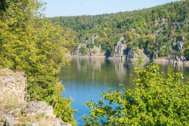 Vltava Nehri 'nin ve Çek Cumhuriyeti' nin Zvikov Kalesi yakınlarındaki ormanın güzel manzarası. Yüksek kalite fotoğraf