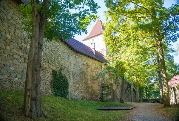 兹维科夫城堡壮观的历史上的Zvikov城堡 展示了几个世纪的捷克传统 高质量的照片 — 图库照片